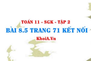 Bài 8.5 trang 71 Toán 11 Kết nối tri thức Tập 2